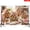 3×5FT, variant on CasaVelle Christmas Backdrop, Gingerbread Village Candyland Winter Scene Polyester Fabric Wall Background for Holiday Party Photo Booth Decoration, 3 x 5 FT
