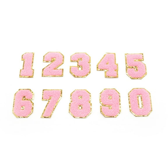 1Set 10Pcs 10 Style Computerized Embroidery Cloth Iron on/Sew on Patches Costume Accessories Appliques Numbers 0~9 Pink 54.5~55.5x26.5~40.5x3mm 1pcs/style