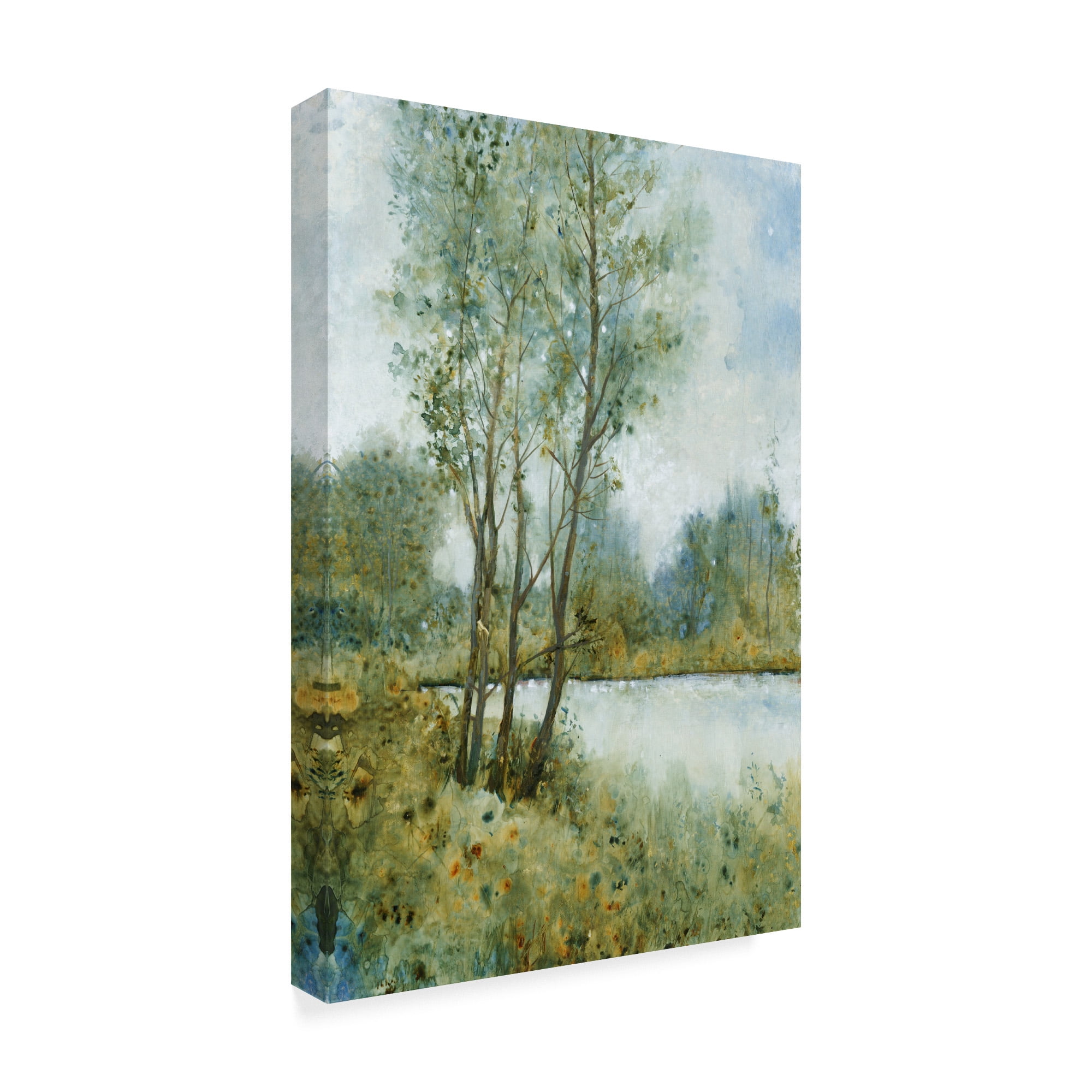Trademark Fine Art 'Early Spring II' Canvas Art by Tim OToole