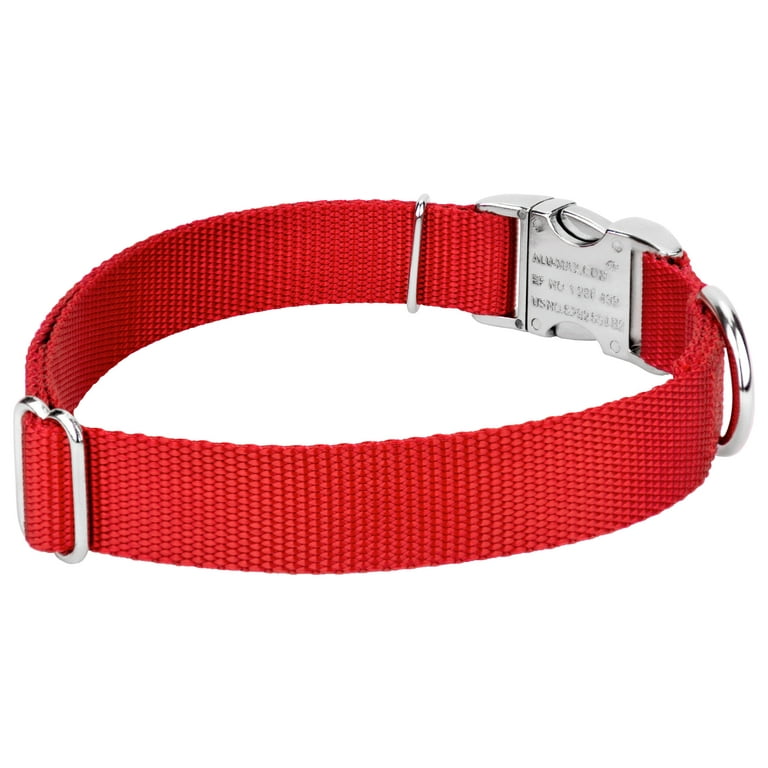 Bright red dog collar discount