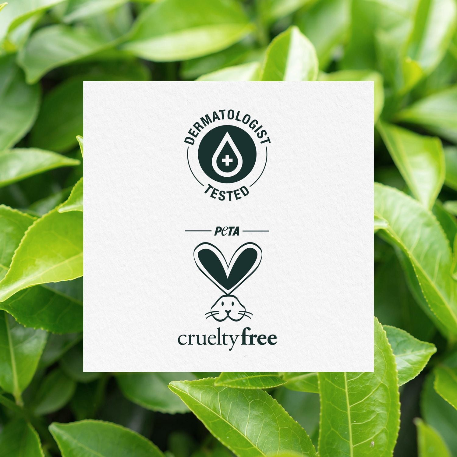 Herbal Essences Classics Clarifying Tea Tree Conditioner, 400 mL