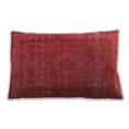 thumbnail image 1 of Ahgly Company Outdoor Rectangular Mid-Century Modern Lumbar Throw Pillow, 13 inch by 19 inch, 1 of 5