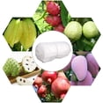 thumbnail image 3 of Bolsa protectora para frutas, paquete de 100 bolsas protectoras de uvas de tela no tejida, bolsa de barrera de red con cordón para proteger plantas, semillas, frutas, flores, Veg, 3 of 5
