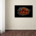 thumbnail image 3 of Trademark Fine Art 'Orange On Black' Canvas Art by Secundino Losada, 3 of 3