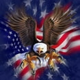 thumbnail image 3 of CafePress - Patriotic Eagle T Shirt - Light T-Shirt Kids XS-XL, 3 of 4