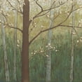 thumbnail image 2 of Meagher, Megan 15x15 Black Ornate Wood Framed with Double Matting Museum Art Print Titled - Hudson River Forest I, 2 of 4