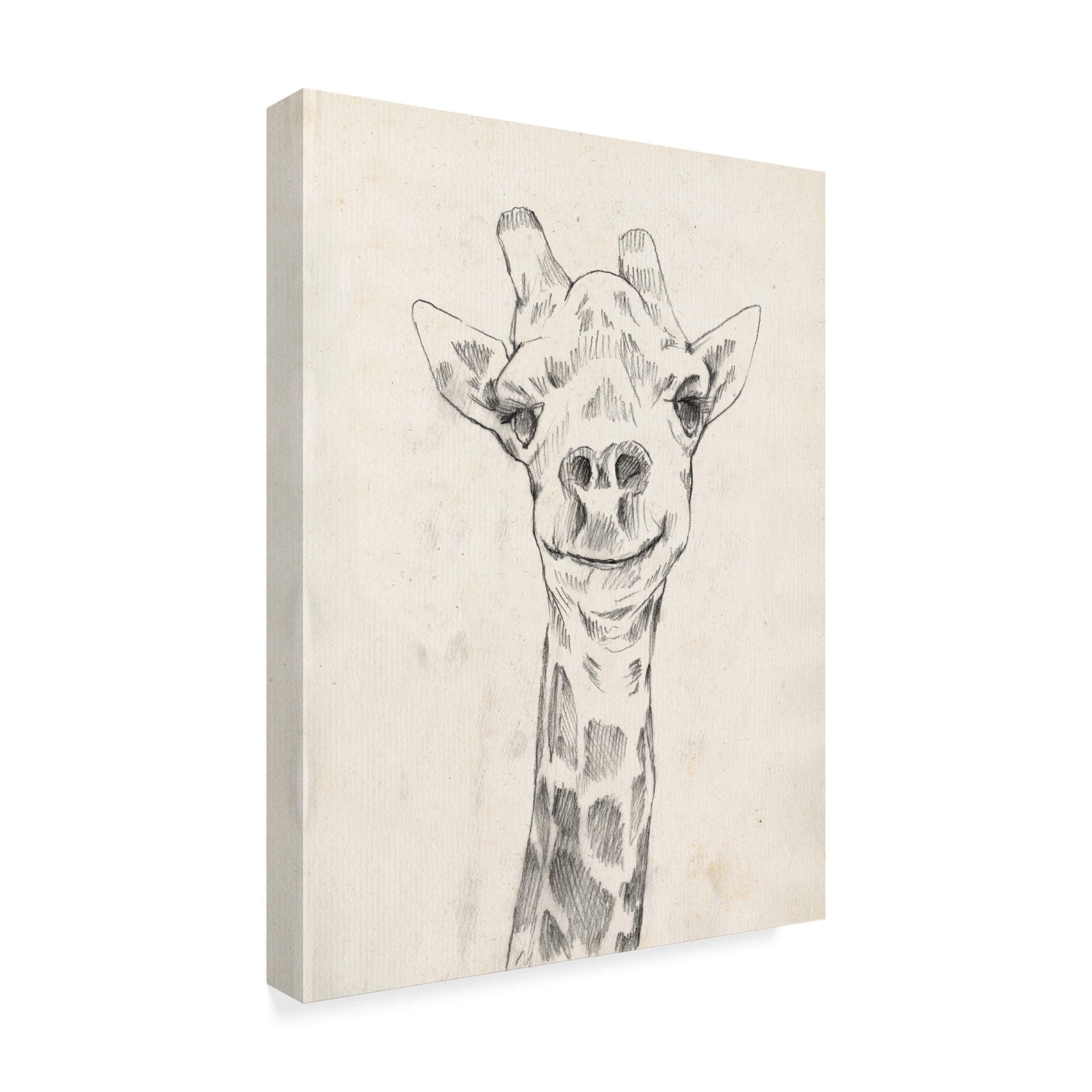 Trademark Fine Art 'Giraffe Portrait I' Canvas Art by Jennifer Goldberger