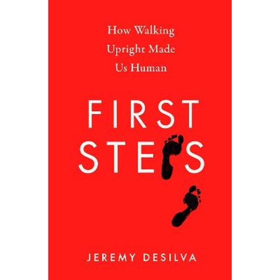 Pre-Owned First Steps (Paperback) 0008342849 9780008342845