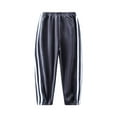 thumbnail image 2 of Esaierr 2-12 Years Boys Girls Fleece Sweatpants for Baby Kids,Casual Pants with Pockets Jogger Pants,Fall Winter Unisex Thickened Loose Trousers, 2 of 6
