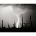 thumbnail image 3 of Taylor, Douglas 14x12 Black Modern Framed Museum Art Print Titled - Electric Desert II - BW, 3 of 5