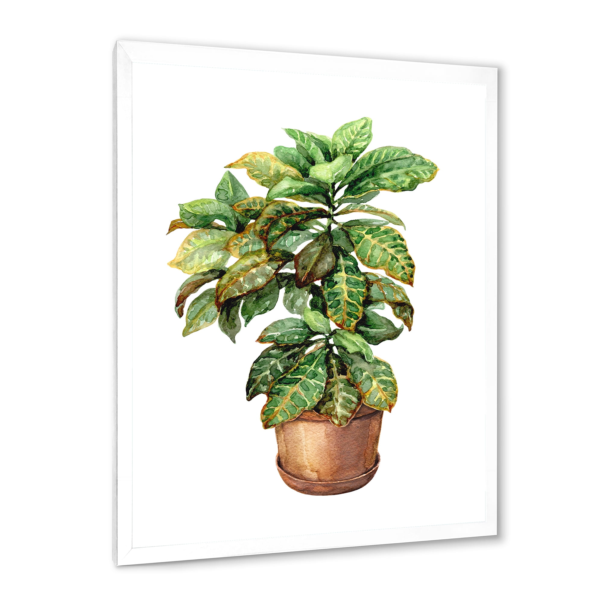 Designart 'Green Croton In Clay Flowerpot' Traditional Framed Art Print