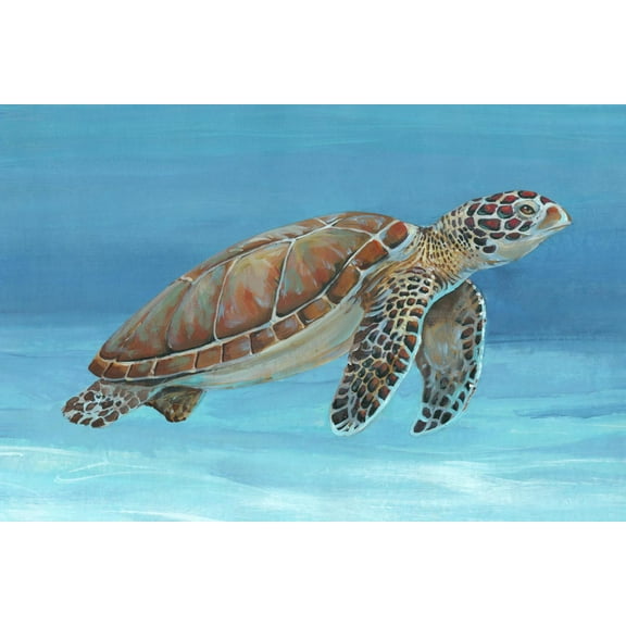 Art.com Ocean Sea Turtle I Art Print by Tim O'toole, 18" x 12"