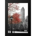 thumbnail image 2 of Navas, Emily 11x14 Black Modern Framed Museum Art Print Titled - Central Park with Red Tree, 2 of 5