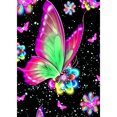 thumbnail image 1 of Diamante (DB5084) Mariposa Flor Cuadro de Arte Cuadrado de Diamantes de Imitación (NE030) 20X30cm Hugtrwg Para estrenar, 1 of 1