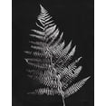 thumbnail image 2 of Rhue, Piper 20x24 Gold Ornate Wood Framed with Double Matting Museum Art Print Titled - Nature by the Lake Ferns VI Black Crop, 2 of 4