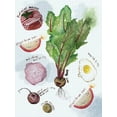 thumbnail image 2 of Wang, Melissa 15x18 Black Ornate Wood Framed with Double Matting Museum Art Print Titled - Food Sketches II, 2 of 4