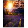 thumbnail image 2 of Beautiful Sunset over Lavender Field - Floral Canvas Art Print, 2 of 3