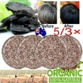 thumbnail image 3 of Rosemary Hair Growth Serum Essential Oil, 3 of 5