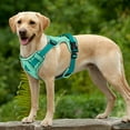 thumbnail image 6 of Mesh Breathable Dog Harness Nylon Reflective Dog Harnesses Vest Durable Pet Training Vest Adjustable for Small Medium Large Dogs, 6 of 9