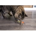 thumbnail image 5 of SmartyKat® Star Strung™ Compressed Catnip, 5 of 5