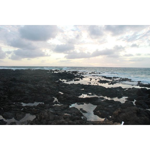 Howard "Endless" Glossy Poster