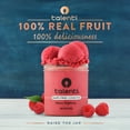 thumbnail image 3 of Talenti Dairy-Free Sorbetto Roman Raspberry Sorbet Frozen Desserts, 1 Pint, 3 of 9