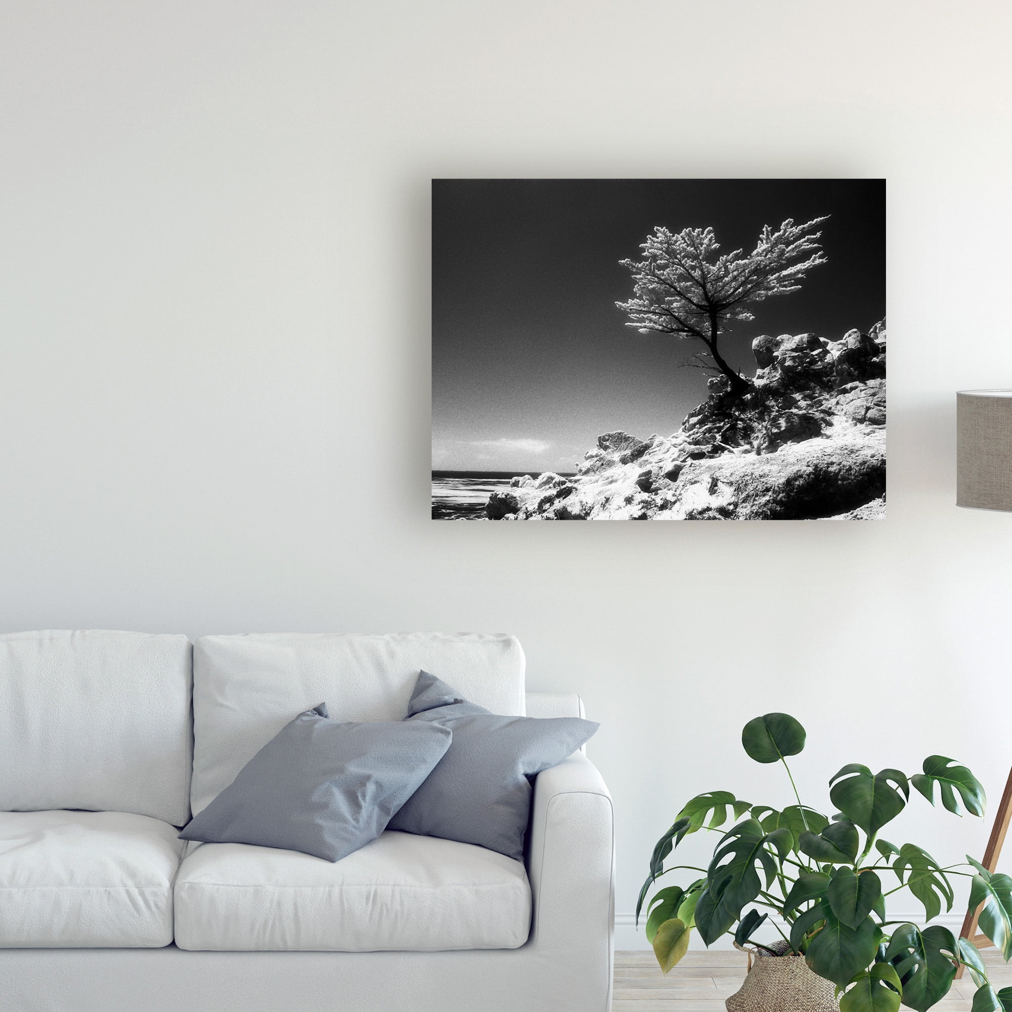 Trademark Fine Art 'Lone Cypress Monterey California' Canvas Art by Monte Nagler