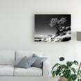 thumbnail image 3 of Trademark Fine Art 'Lone Cypress Monterey California' Canvas Art by Monte Nagler, 3 of 3