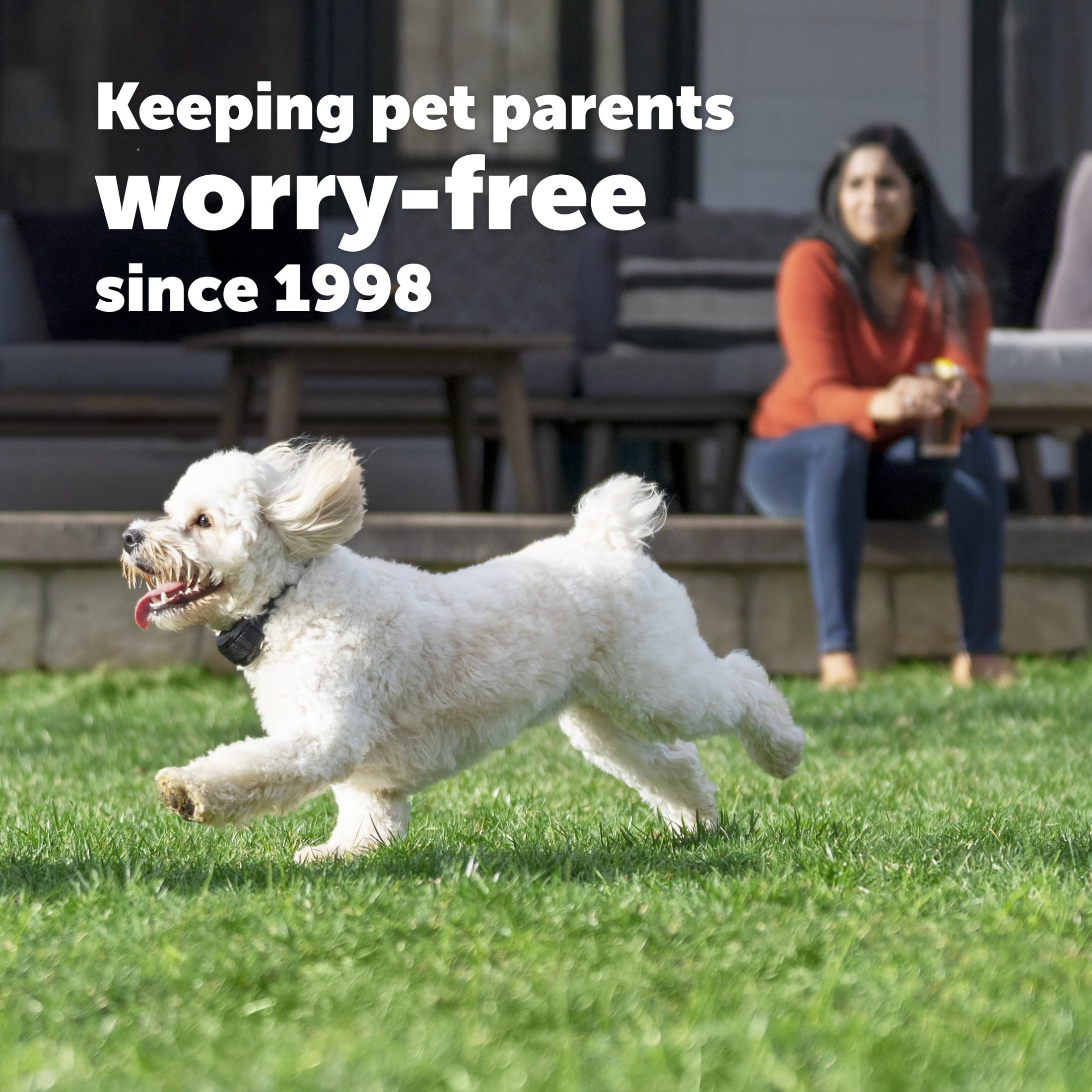 PetSafe YardMax Rechargeable In-Ground Fence for Dogs and Cats