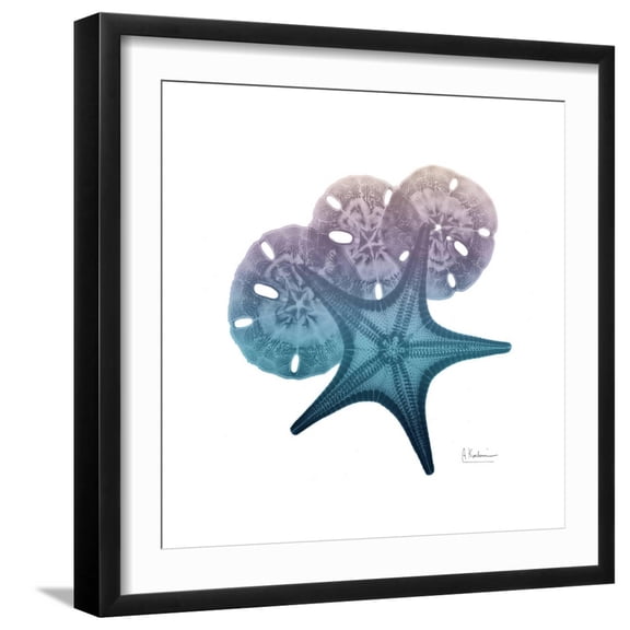 Art.com Ocean Hues Starfish and Sand Dollar Art Print by Albert Koetsier, Black Frame Wall Art, 21" x 21"
