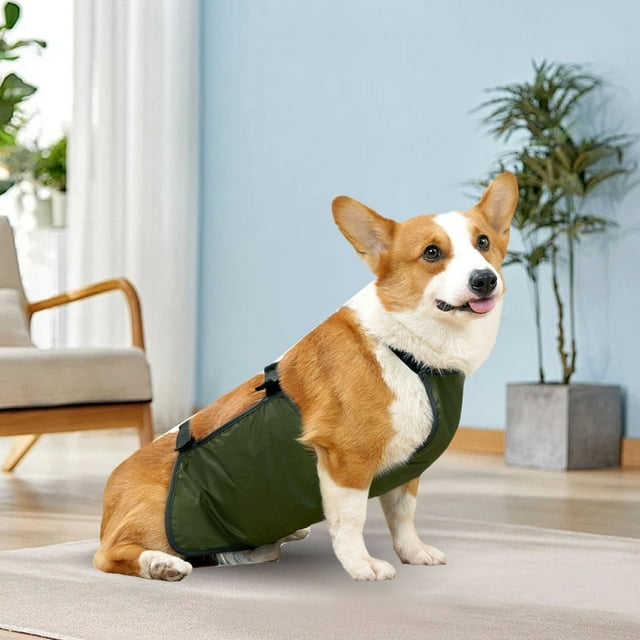 Banda Inmediable para el Vientre del Perro, Protección Total, Diseño Transpirable, Fácil de Limpiar, Protector de Pecho para Mascotas con material impermeable, especial DE