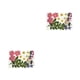 thumbnail image 3 of Calcomanía de flores secas Injueey Hermosa Artesanía Tipo 6 2Conjunto, 3 of 6