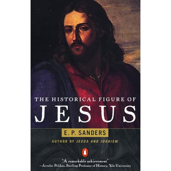 Pre-Owned The Historical Figure of Jesus (Paperback) 0140144994 9780140144994