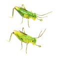 thumbnail image 1 of 2 Pcs Outdoor Statues Wall Art Garden Ant Art Locust Lawn Ornament Grasshopper Figurine Ant Indoor Wall Decor, 1 of 3
