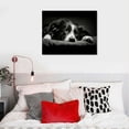thumbnail image 4 of Nawypu  Framed Canvas Wall Art Emotion Photo Down Black and White Border Collie Photo Print Large Size Artwork Stretched &amp; Framed Poster Home Decor for Living Room Ready to Hang, 4 of 4