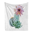 thumbnail image 1 of Cactus Soft Flannel Fleece Throw Blanket, Cactus Spikes Flower in Hot Mexican Desert Sand Botanical Natural Image, Cozy Plush for Indoor and Outdoor Use, 50" x 60", Pink Green and Blue, by Ambesonne, 1 of 6