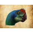 thumbnail image 2 of Oviraptor head detail Poster Print, 2 of 2