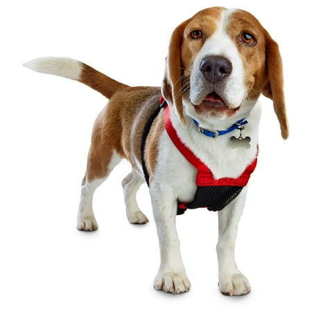 UPC: 0858413007549 | Playology Dual Layer Ring Dog Toy Chicken Scent Large