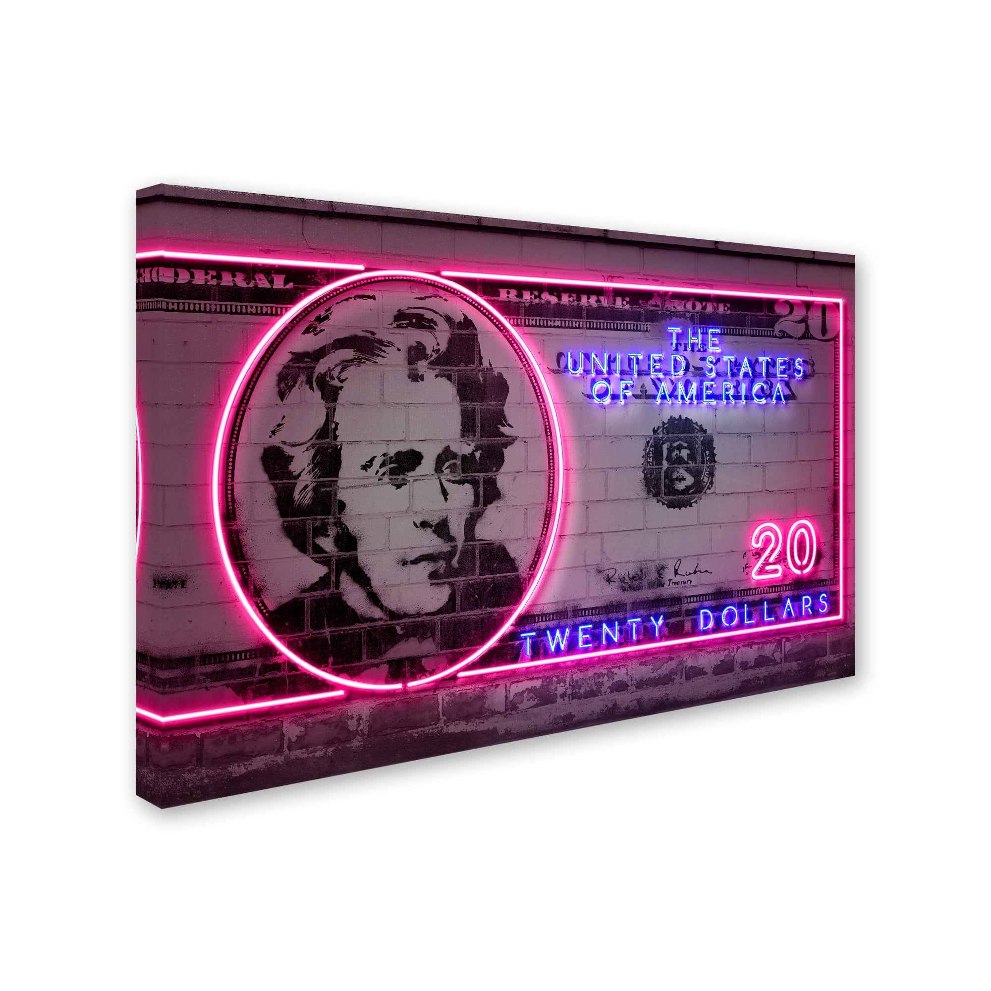 Trademark Fine Art '20 dollars' Canvas Art by Octavian Mielu