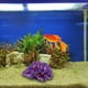 thumbnail image 3 of Adornos de coral para acuario, decoración de plantas de pecera, decoración para paisaje de acuario, decoración de coral, coral falso púrpura, 3 of 5