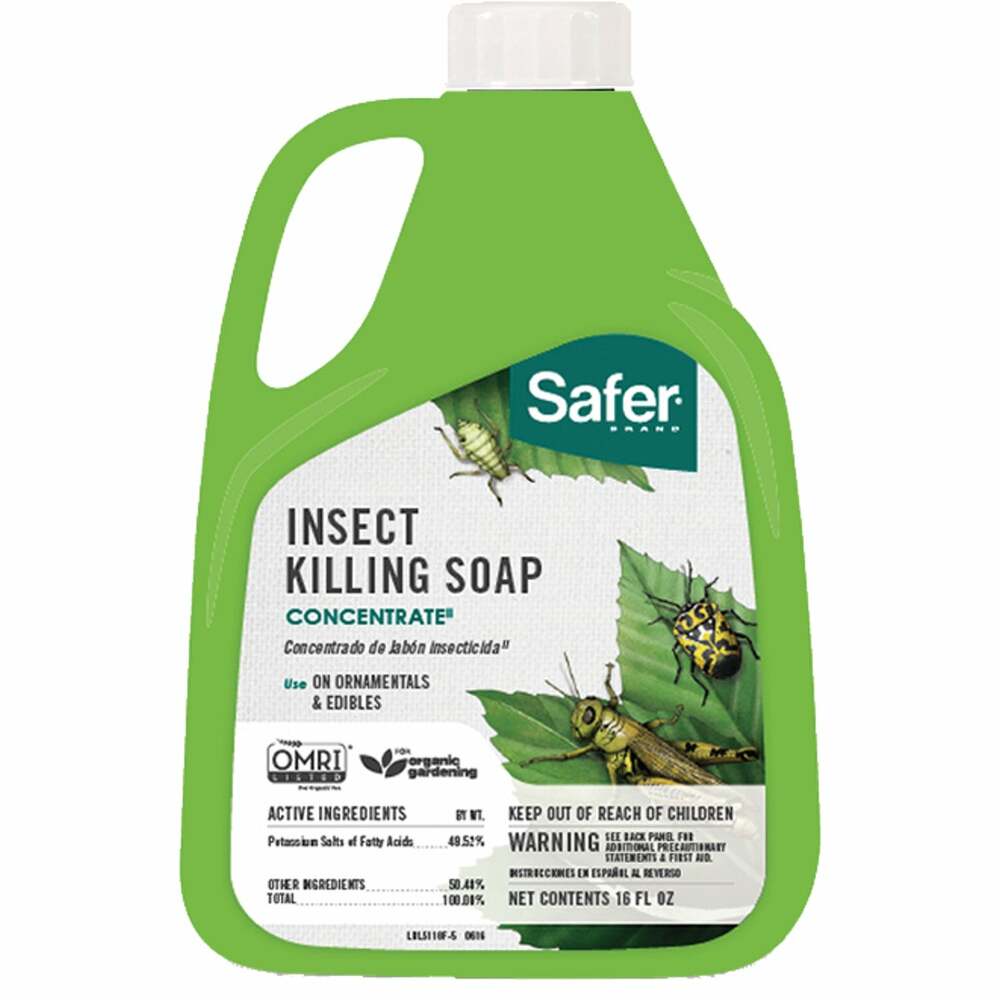 Safer 16 Oz. Concentrate Insecticidal Soap Insect Killer 51186 51186