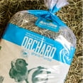 thumbnail image 2 of Standlee Premium Orchard Grass Hay 48oz. Bag Small Animal Forage USA Grown, 2 of 6