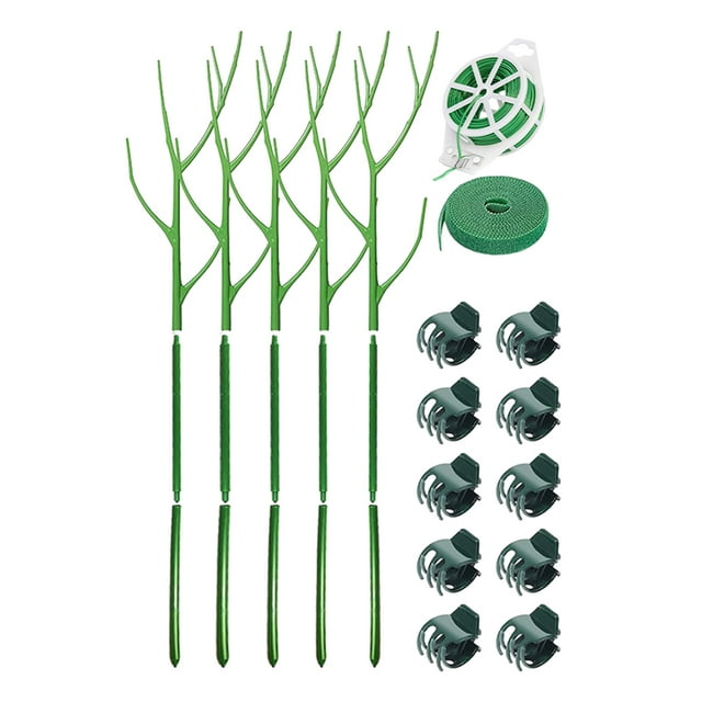 Toystoory Suministros de soporte para plantas sanas y fuertes Suministros de soporte para plantas Planta efectiva Jardín y Patio
