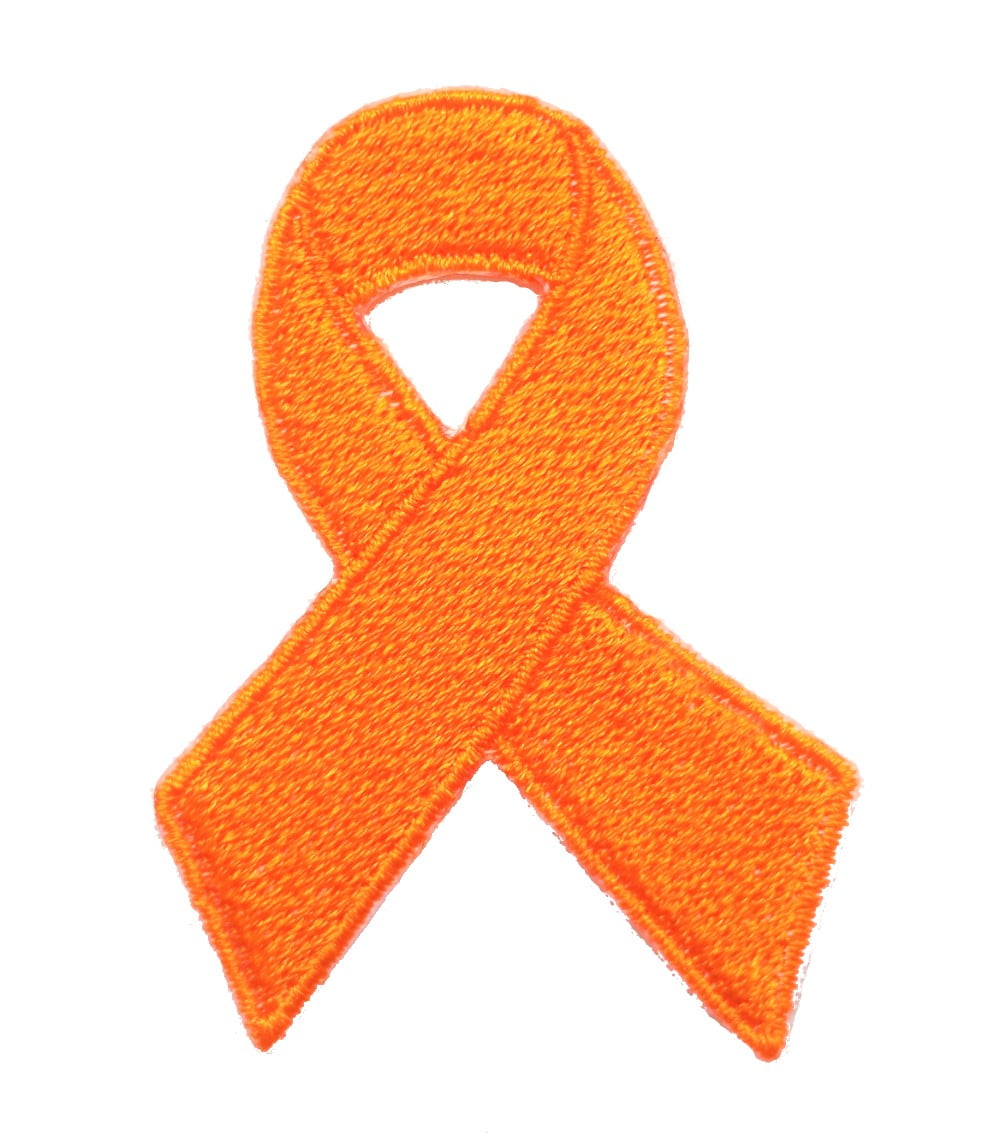 Kidney CancerAgent OrangeCultural DiversityHungerMotorcycle Safety Iron On Patch Awareness Ribbon Gifts Fundraising