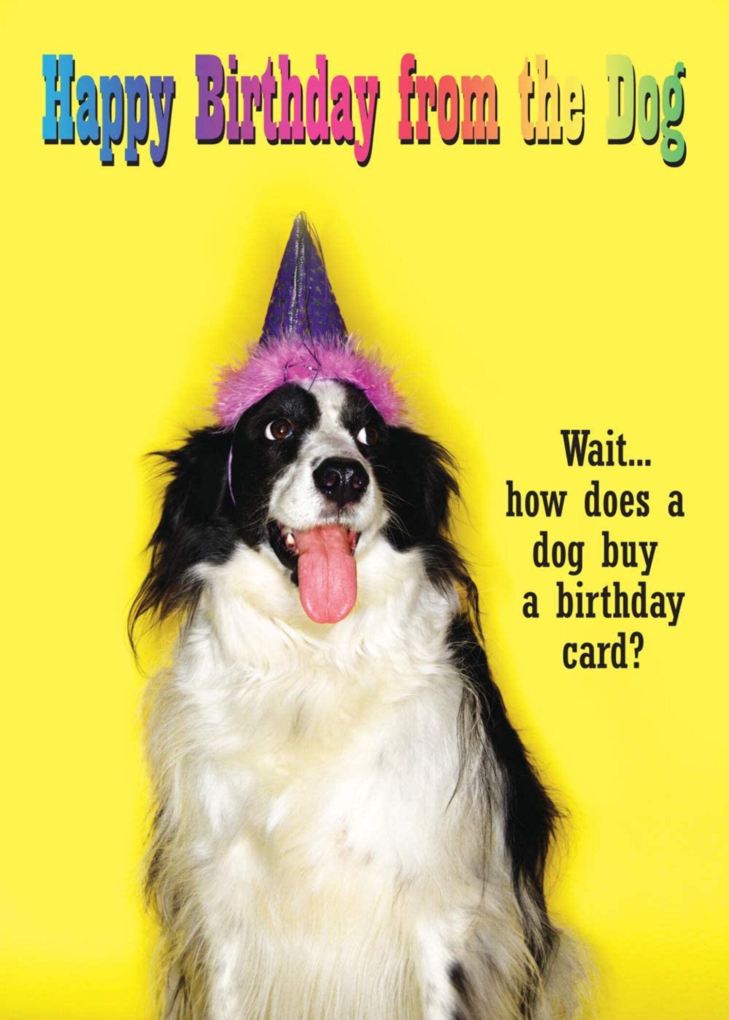 Birthday Card 12-pack Box Set -- 3 Cards Per Design