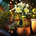 thumbnail image 1 of Outdoor Courtyard Garden Decoration Plug-in Light LED Simulation Flower Lamp New 7-head Solar Flower Lamp, 1 of 6