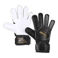thumbnail image 1 of GUANTES PUMA MULTICOLOR PARA UNISEX EVOPOWER GRIP 2.3 RC 4122210, 1 of 5