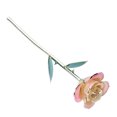 thumbnail image 3 of 11-12 Pulgadas de Largo, Rosa Real Recién Escogida A Mano, Rosa Chapada en Oro de 24 K, Amor para Siempre, Rosa Blanca y Rosa, Caja de Con Soporte, Rosa Real Bañada en Oro 24, 3 of 7
