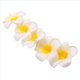 thumbnail image 4 of 800 Piezas de Espuma Frangipani Hawaiano Artificial Plumeria Flor Pétalos Cap Pelo Sombrero DIY Decoración de Boda 5Cm, 4 of 9