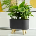 thumbnail image 1 of Detachable Flowerpot with Water Level Indicator Plastic Smooth Surface Plant Holder Patio Decor, 1 of 9